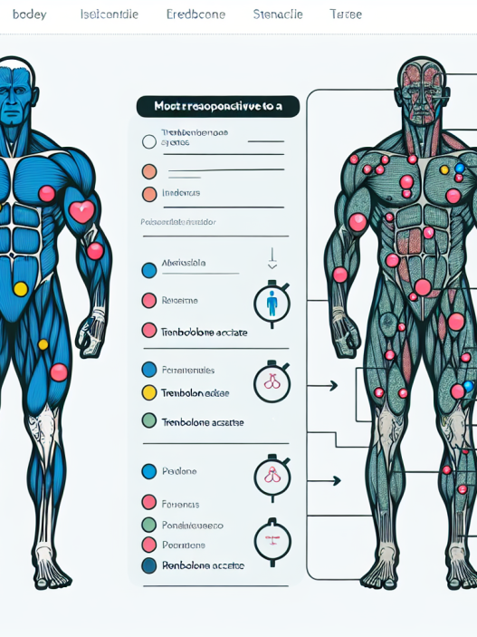 ¿Qué parte del cuerpo responde más a Acetato de trenbolona?