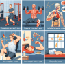 Preparativos para ganar masa muscular y su efecto en el sistema parasimpático