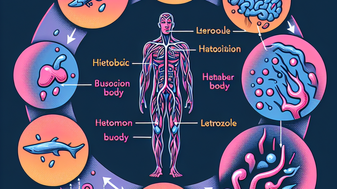 Qué tan catabólico puede volverse el cuerpo al dejar Letrozol